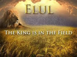 king is in the field